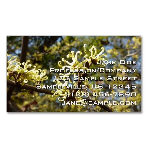 Witch Hazel Flowers  Magnet