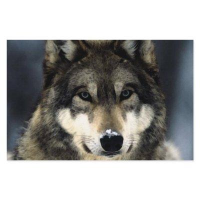 Wolf Portrait Stationery
