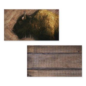 Wood Bison Buffalo