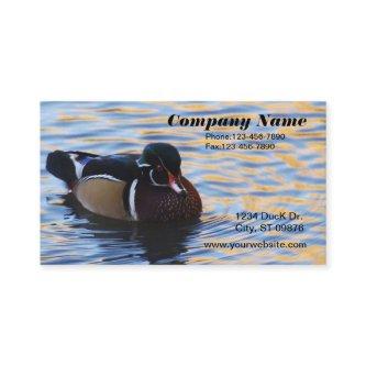 Wood Duck