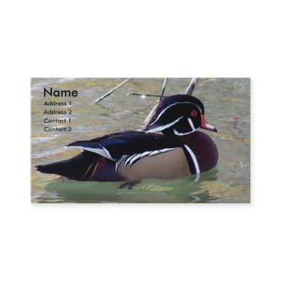 Wood Duck Drake