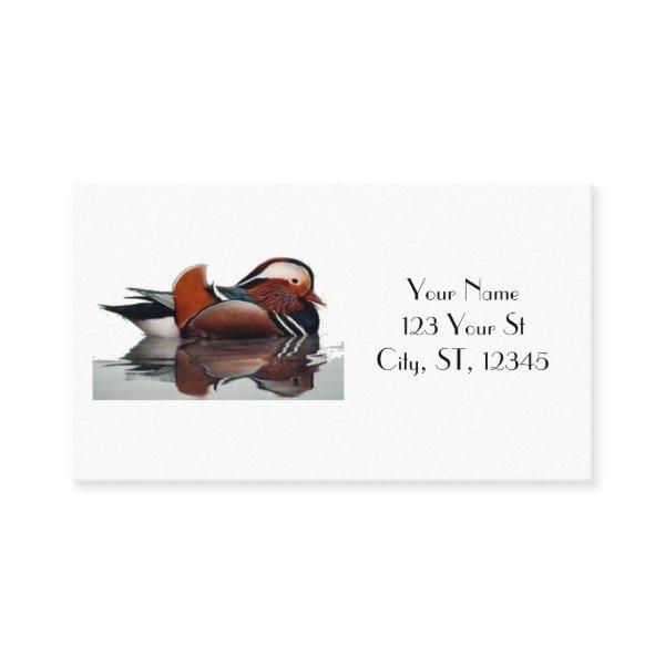 Wood Duck Thunder_Cove
