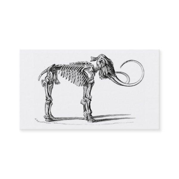 Woolly mammoth skeleton profile card