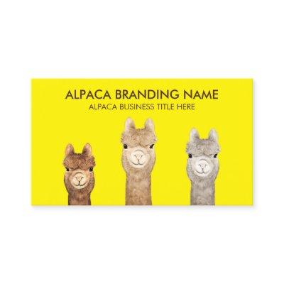 Yellow Alpaca Animal