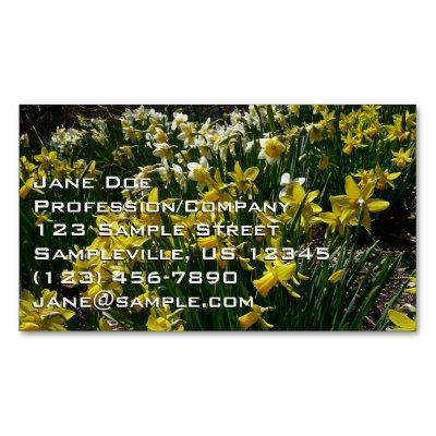 Yellow and White Daffodils Spring Flowers  Magnet
