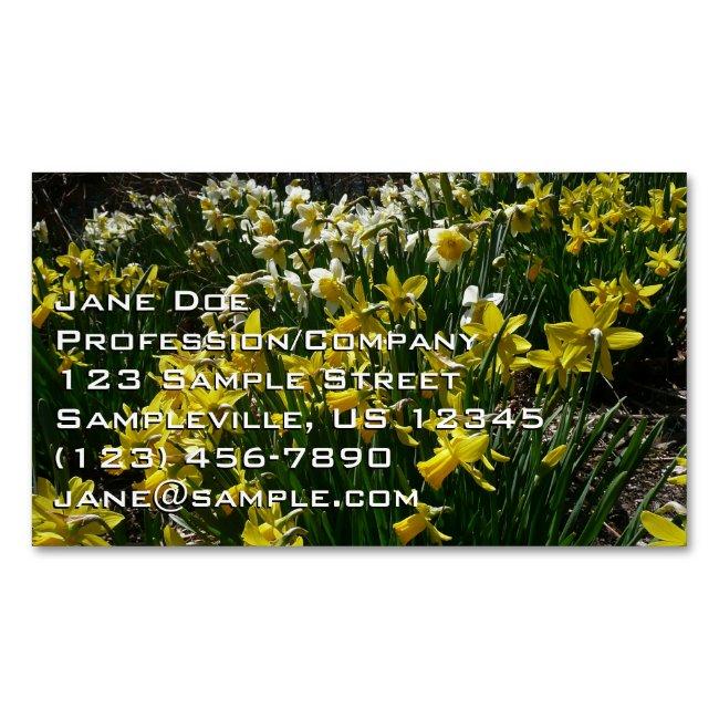 Yellow and White Daffodils Spring Flowers Magnet