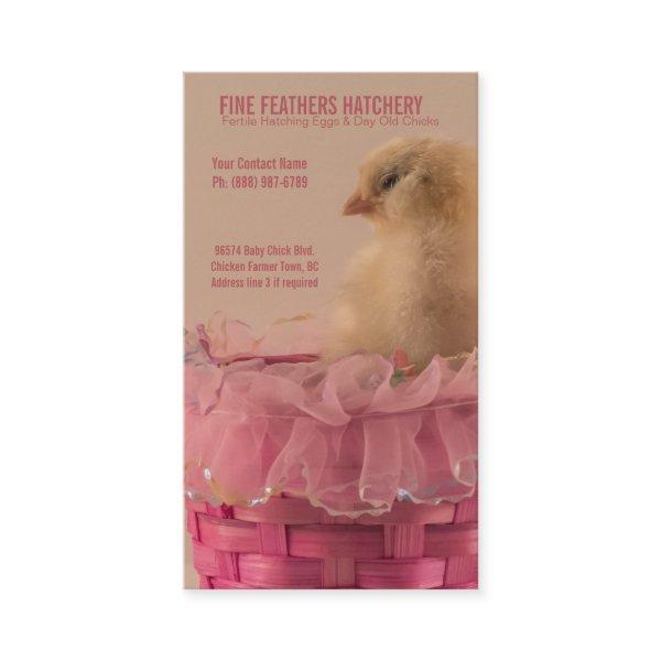 Yellow Baby Chick in Pink Ruffle Basket Hatchery