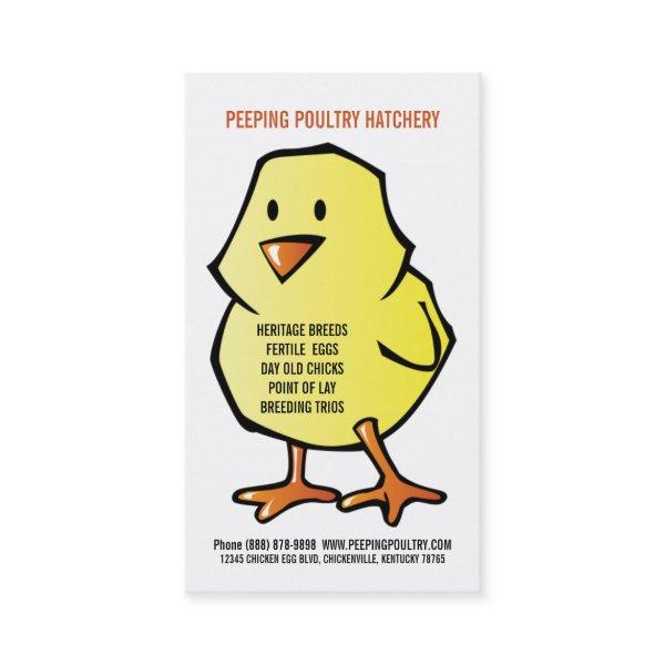 Yellow Chick Chicken Hatchery