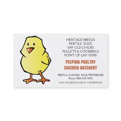 Yellow Chick Chicken Hatchery