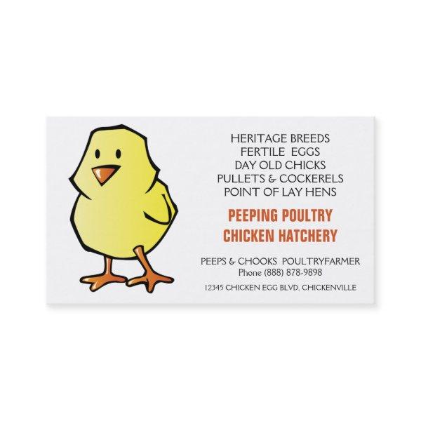 Yellow Chick Chicken Hatchery