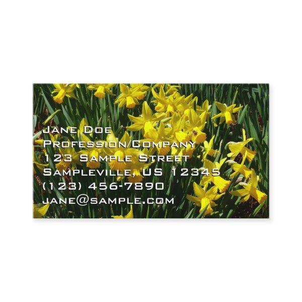 Yellow Daffodils I Cheery Spring Flowers