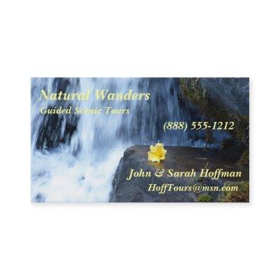 Yellow Primrose at Waterfall