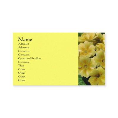 Yellow Primrose Flower