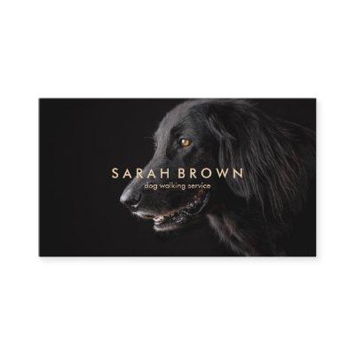 Yellow Text Pet Sitter Groomer Black Labrador Dog