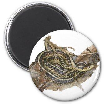 Young Eastern Garter Snake Coordinating Items Magnet
