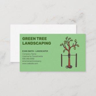 Young Tree Growing | Landscaping