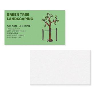 Young Tree Growing | Landscaping