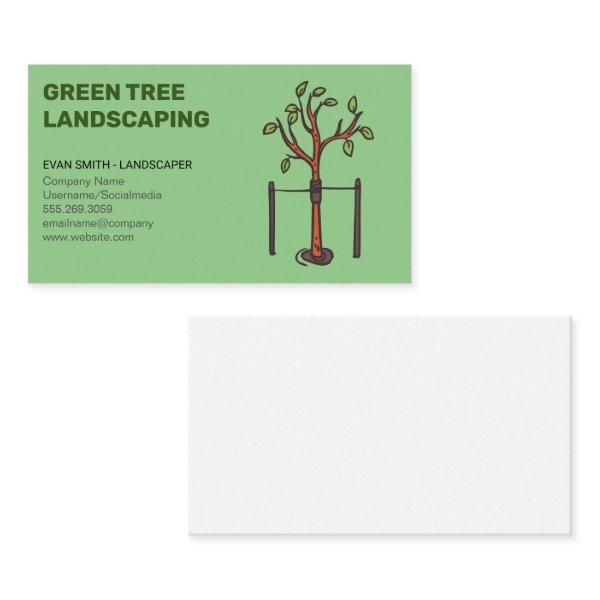 Young Tree Growing | Landscaping