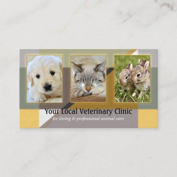 Your 4 Photos Animal or Veterinary Clinic