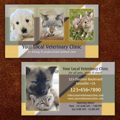 Your 4 Photos Animal or Veterinary Clinic