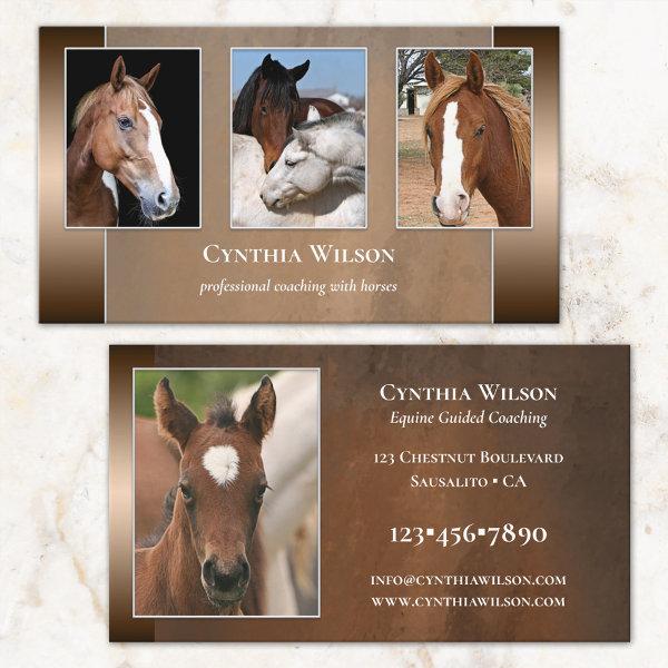 Your Photo Horse Stables or Coaching