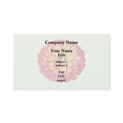 Zinnia in Shades of Orange